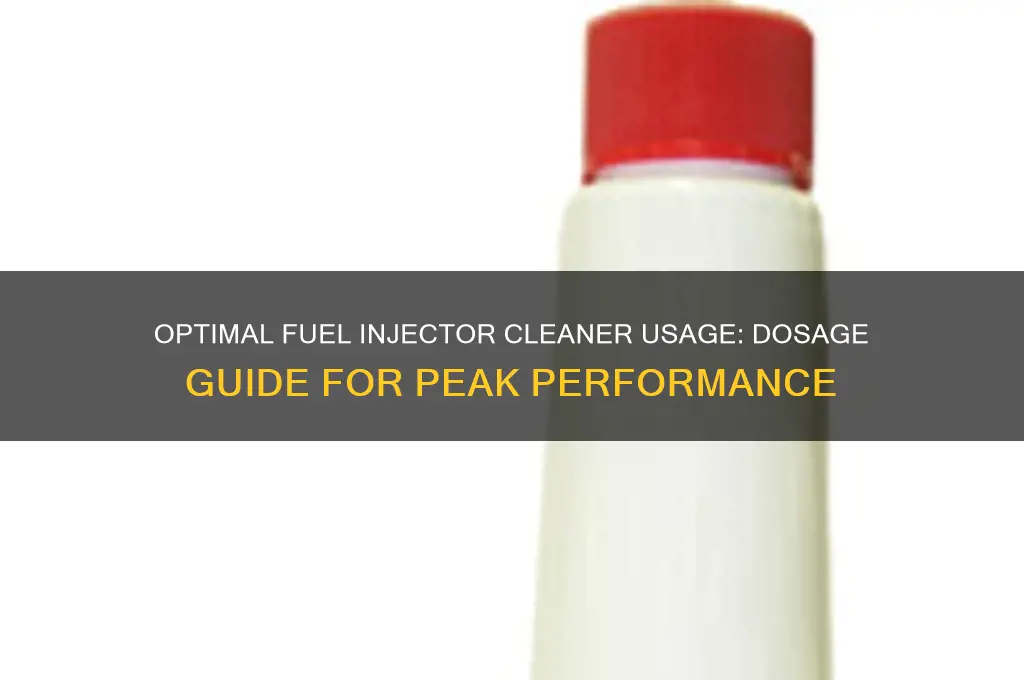 how much fuel injector cleaner to use