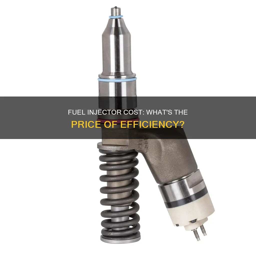 how much fuel injector