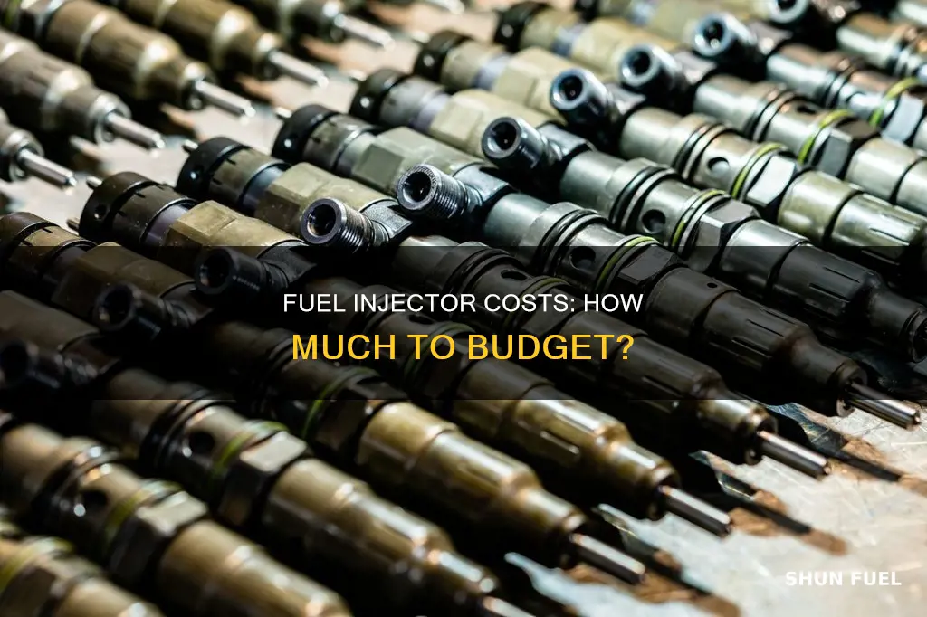 how much fuel injectors cost