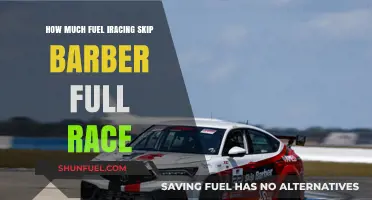 Skip Barber iRacing Fuel Strategy: How Much Is Enough?
