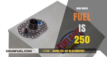 Fuel Efficiency: 250 Miles on a Single Tank