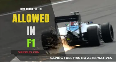 Fuel Rules in F1: Understanding the Limits
