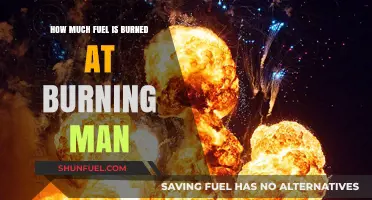 Burning Man's Fuel Consumption: A Festival's Environmental Impact