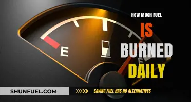 The World's Daily Fuel Consumption: A Burning Issue
