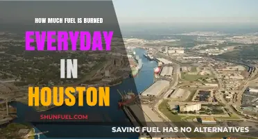 Houston's Daily Fuel Consumption: Burning a Concern