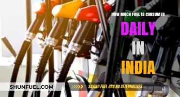 India's Daily Fuel Consumption: A Critical Analysis