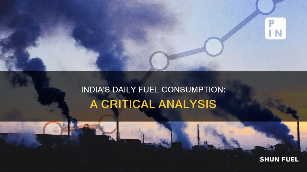 how much fuel is consumed daily in india