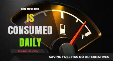 Fuel Consumption: A Daily Global Overview