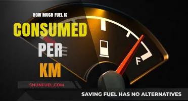 Fuel Efficiency: Understanding Consumption Rates