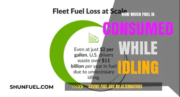 Idling Cars: Fuel Consumption and Environmental Impact