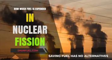 Nuclear Fission: Fuel Efficiency and Energy Output