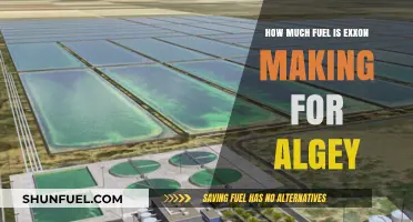 Exposing Exxon's Algae Fuel: A Sustainable Future?