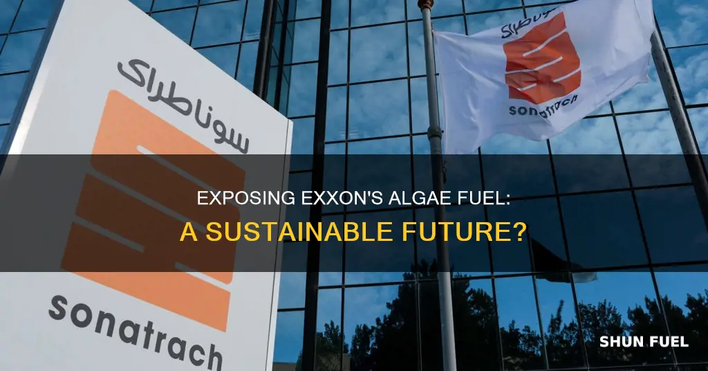 how much fuel is exxon making for algey