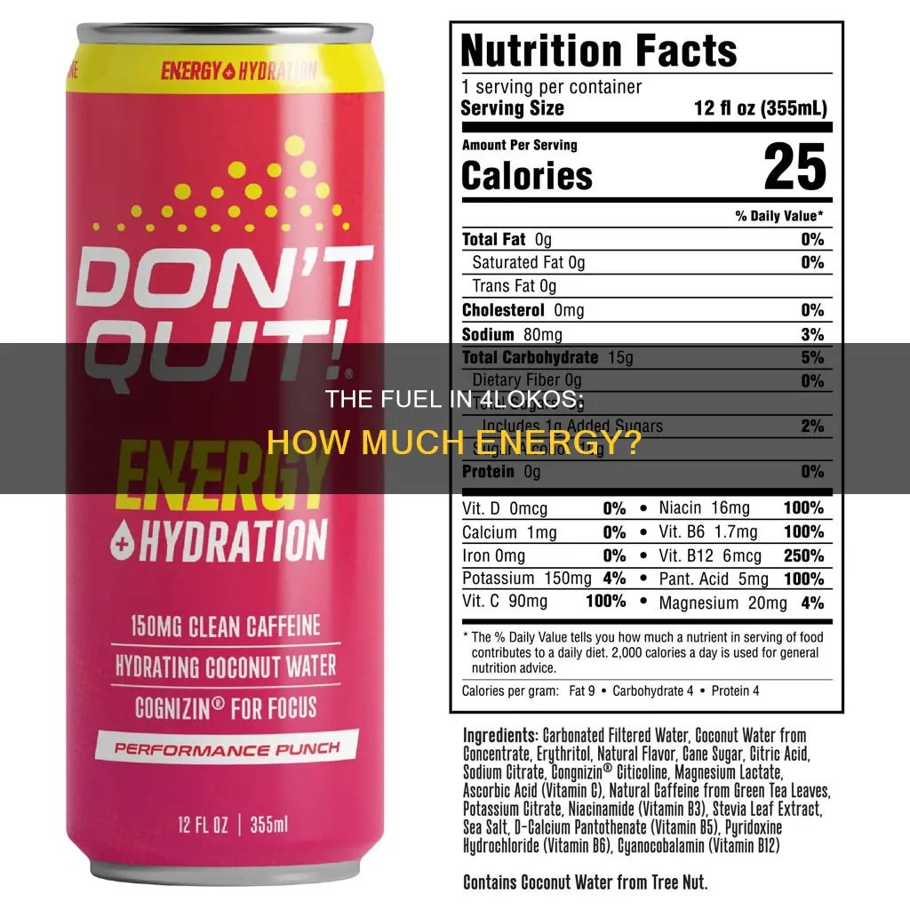 how much fuel is in a 4loko