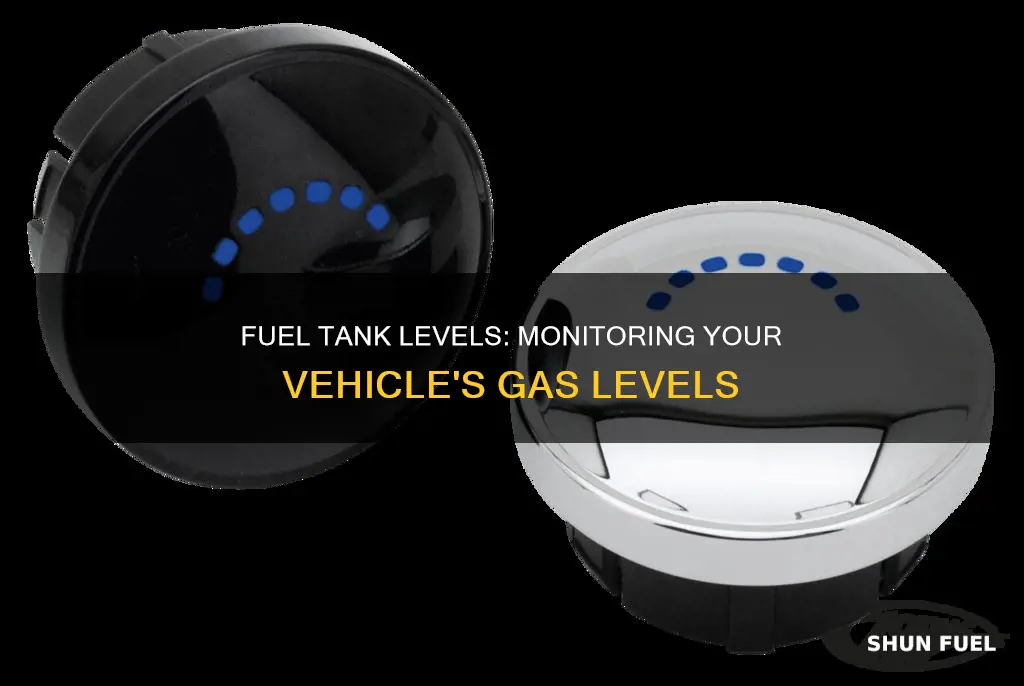 how much fuel is in my tank