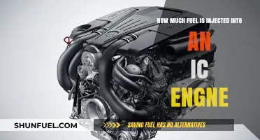 Fuel Injection in IC Engines: How Much is Too Much?