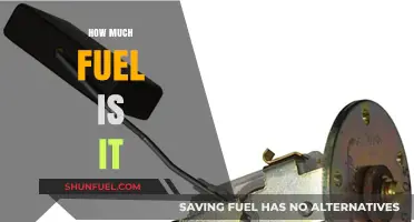 Fuel Efficiency: How Much is Enough?
