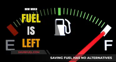 The World's Fuel: How Long Will It Last?