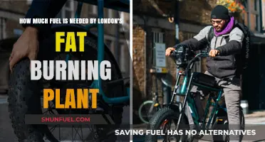Fat-Fueled Energy: London's Plant Requires Tons of Grease