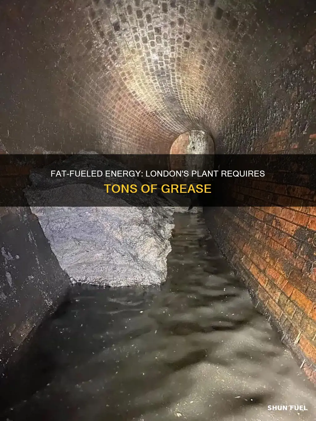 how much fuel is needed by london