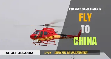 Fuel Requirements for Flights to China