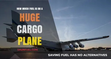 Fuel Consumption of Massive Cargo Planes