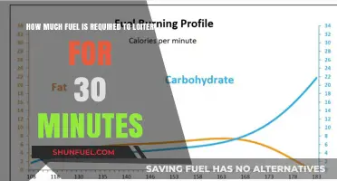 Loitering Efficiency: Fuel Consumption for 30 Minutes