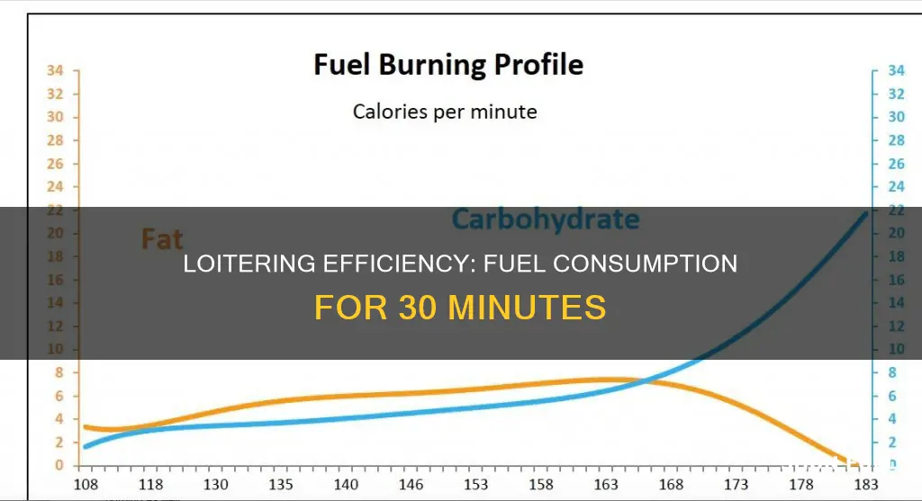 how much fuel is required to loiter for 30 minutes