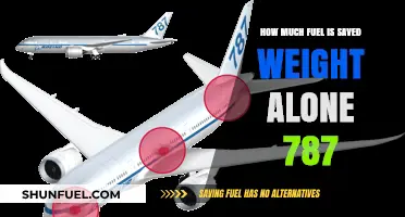 Lighter Weight, Greater Fuel Efficiency: The 787 Advantage