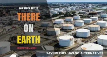 The Earth's Fuel Supply: How Much is Left?