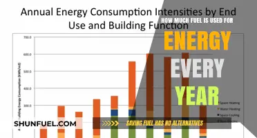 The World's Annual Fuel Consumption for Energy