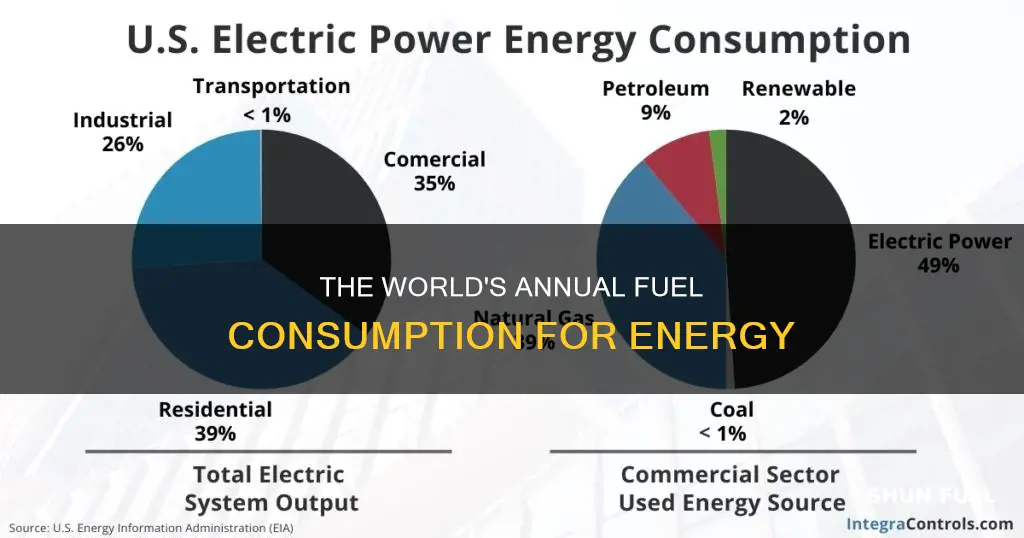 how much fuel is used for energy every year