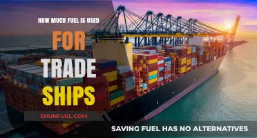 The Impact of Trade Ships' Fuel Consumption