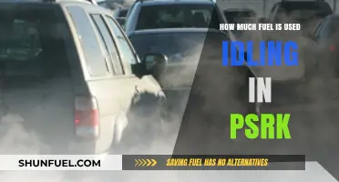 Idling in Park: A Waste of Fuel