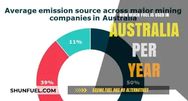 Australia's Annual Fuel Consumption: A Detailed Overview