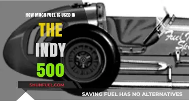 Fuel Consumption in the Indy 500: A Detailed Analysis