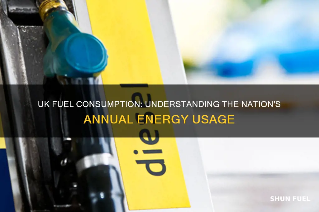 how much fuel is used in the uk