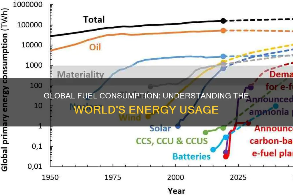 how much fuel is used in the world