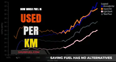 Fuel Consumption Unveiled: Understanding Kilometers per Liter Efficiency