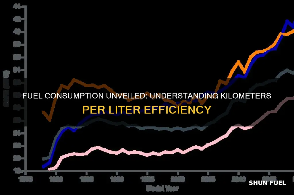 how much fuel is used per km