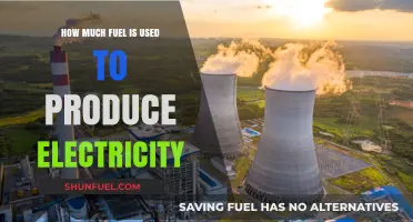 The Energy Cost of Electricity: Fuel Usage Explored