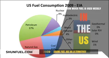 Fuel Consumption in the US: Weekly Overview