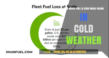 Cold Weather Idling: Fuel Consumption and Costs
