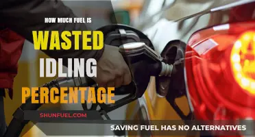 Idling Cars: A Wasteful Habit, Burning Millions of Gallons