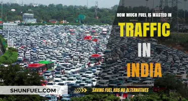 Traffic Jams: Burning Fuel, Emptying Pockets in India
