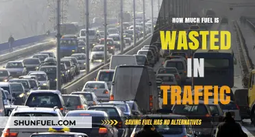 Traffic Jams: Burning Fuel, Wasting Money