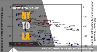 Fuel Consumption: NY to LA Jet Flight