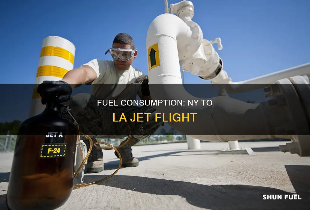 how much fuel jet use fly ny to la