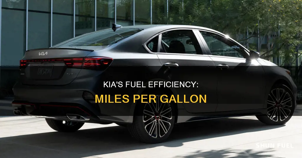 how much fuel kia takes per 100 miles