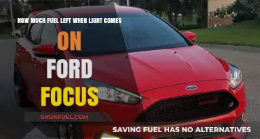 Ford Focus: Fuel Light, How Much Left?